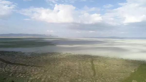 AKŞEHİR KİRAZI, DÜNYA PAZARINDA
