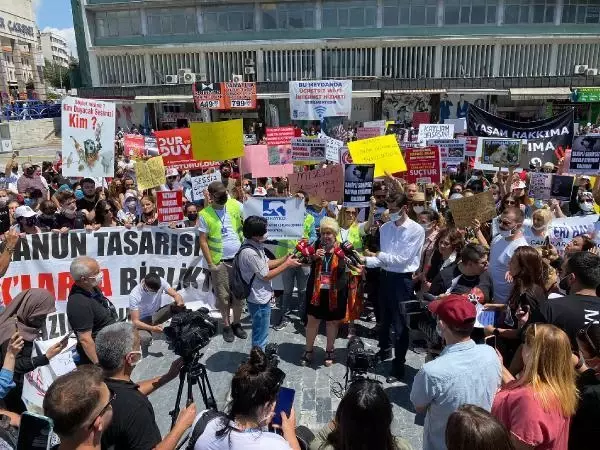 ANKARA'DA HAYVANLARI KORUMA KANUNU PROTESTOSU