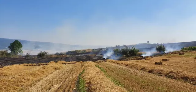 Son dakika haberi! Balıkesir'de tarım arazisinde çıkan ...