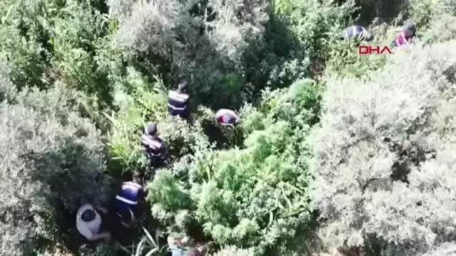 Son dakika haberleri... BAYINDIR'DA JANDARMANIN UYUŞTURUCU OPERASYONUNDA, 3 TUTUKLAMA