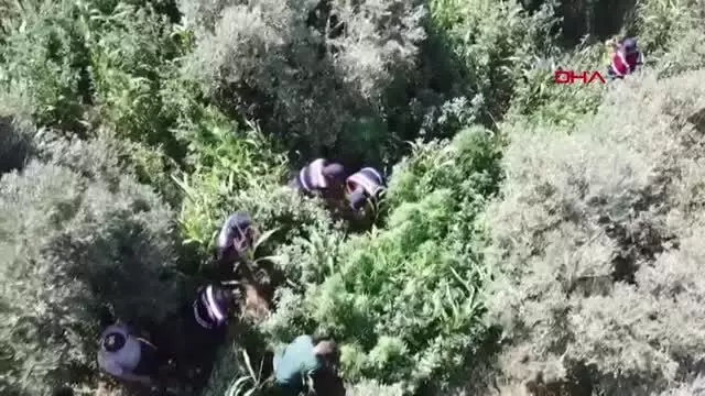 Son dakika haberleri... BAYINDIR'DA JANDARMANIN UYUŞTURUCU OPERASYONUNDA, 3 TUTUKLAMA