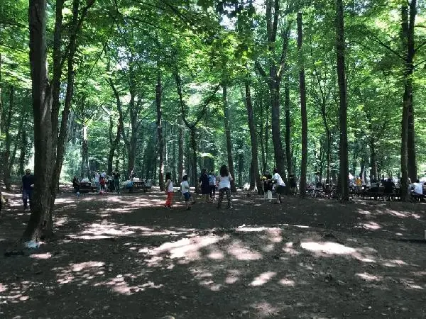 Belgrad Ormanı piknikçilerin akınına uğradı