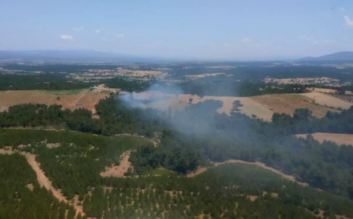 Çanakkale'nin Ezine ilçesindeki ormanlık alanda çıkan yangına müdahale ediliyor