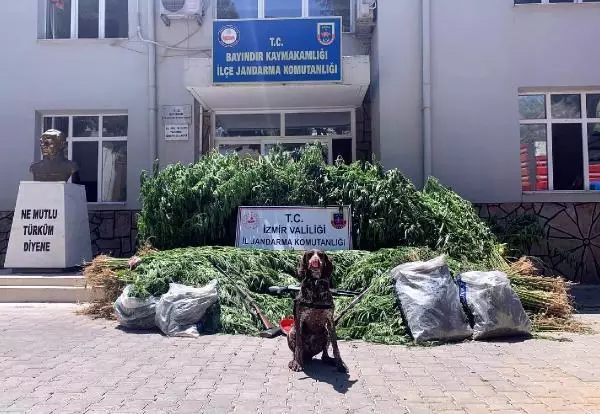Son dakika haberleri... BAYINDIR'DA JANDARMANIN UYUŞTURUCU OPERASYONUNDA, 3 TUTUKLAMA