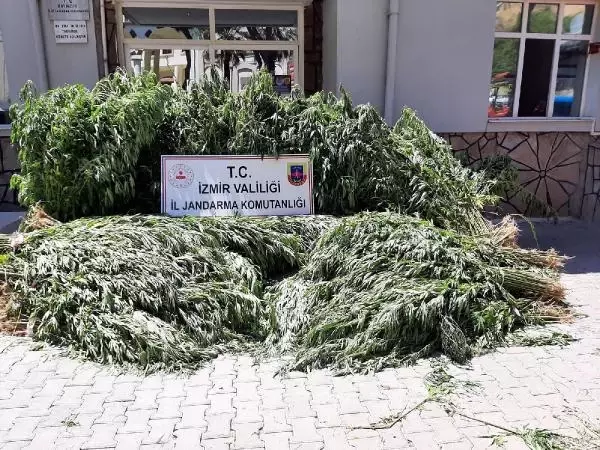 Son dakika haberleri... BAYINDIR'DA JANDARMANIN UYUŞTURUCU OPERASYONUNDA, 3 TUTUKLAMA