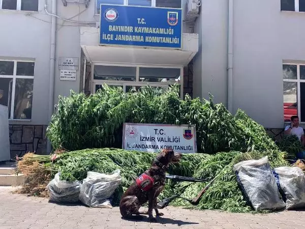 Son dakika haberleri... BAYINDIR'DA JANDARMANIN UYUŞTURUCU OPERASYONUNDA, 3 TUTUKLAMA