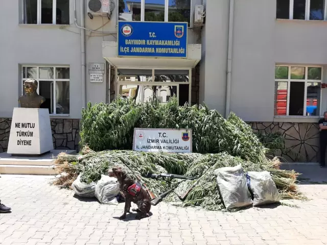 Son dakika haberi... Jandarmadan drone destekli uyuşturucu operasyonu
