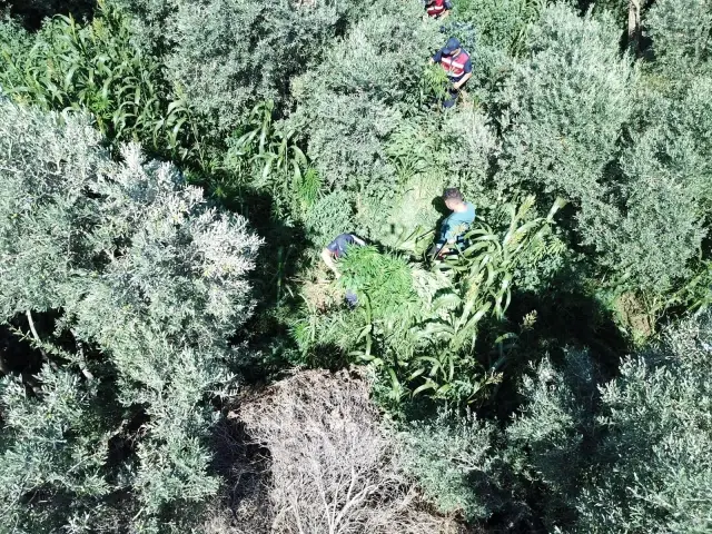 Son dakika haberi... Jandarmadan drone destekli uyuşturucu operasyonu