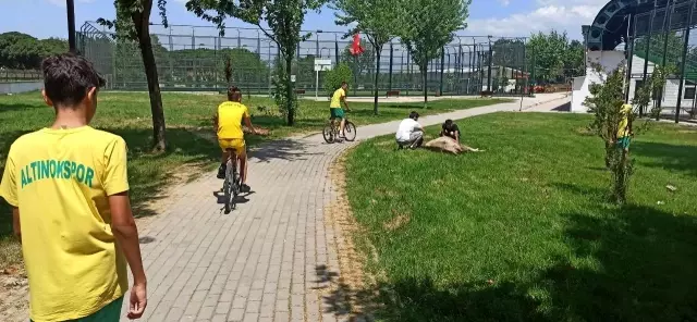 Kurbanlık düve spor tesisine girdi