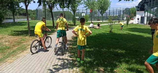 Kurbanlık düve spor tesisine girdi