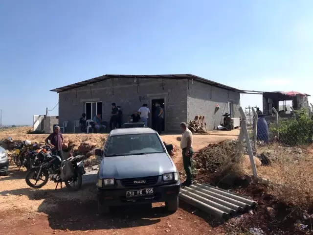 Mersin'de horoz dövüştürülen evdeki 52 kişiye 270 bin 972 lira ceza verildi