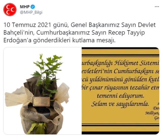MHP Genel Başkanı Bahçeli, Cumhurbaşkanı Erdoğan'a çınar fidanı hediye etti
