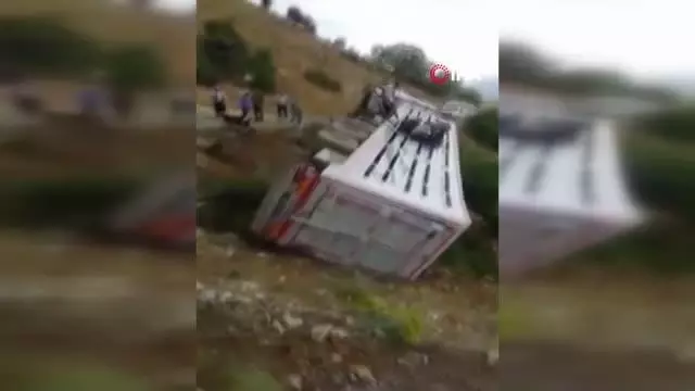 Tır şarampole devrildi: 3 kişi yaralandı, 160 küçükbaş hayvan telef oldu