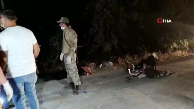 Son dakika haberi... Mültecileri taşıyan minibüs kaza yaptı: 12 ölü, 20 yaralı