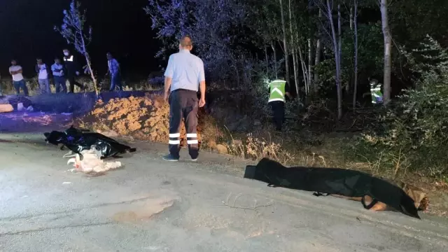 Son dakika haberi... Mültecileri taşıyan minibüs kaza yaptı: 12 ölü, 20 yaralı