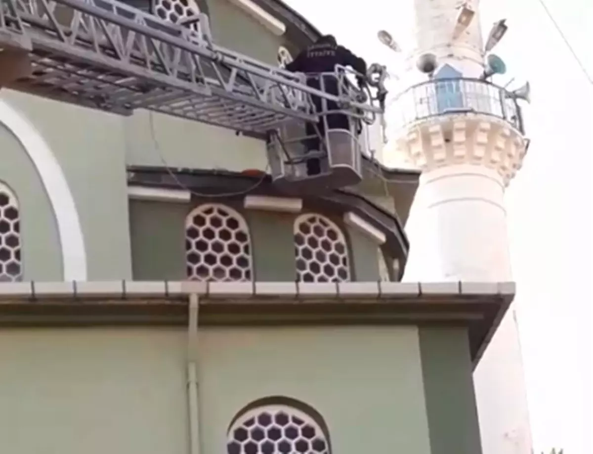 Son dakika: Afyonkarahisar'da yuvasından düşen yavru leyleği itfaiye ekipleri, yerine koydu