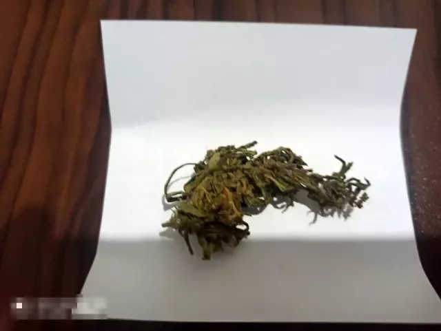 Arazisinde kenevir, evinde esrar ele geçirildi