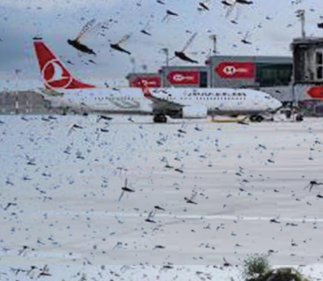 hava durumu istanbul havalimanı