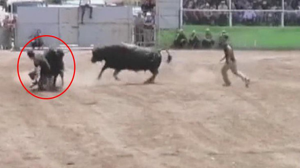Yüreklerin ağza geldiği an! Kaçan boğa, sahibini altına alıp ezdi