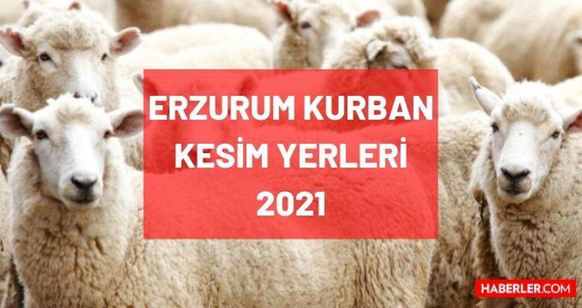 Erzurum kurban kesim yerleri 2021! Erzurum kurbanlık satış yerleri ve kurban kesim yerleri neresidir? 2021 Kurban iletişim bilgileri