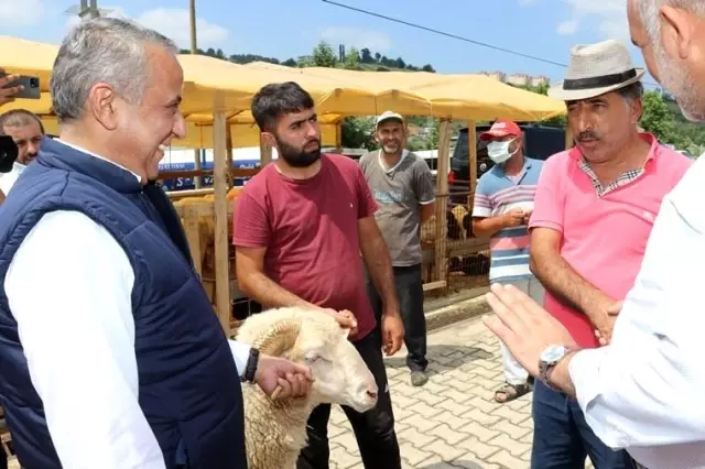 Kurbanlık alacaklara uyarılar