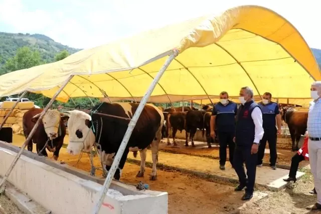 Kurbanlık alacaklara uyarılar