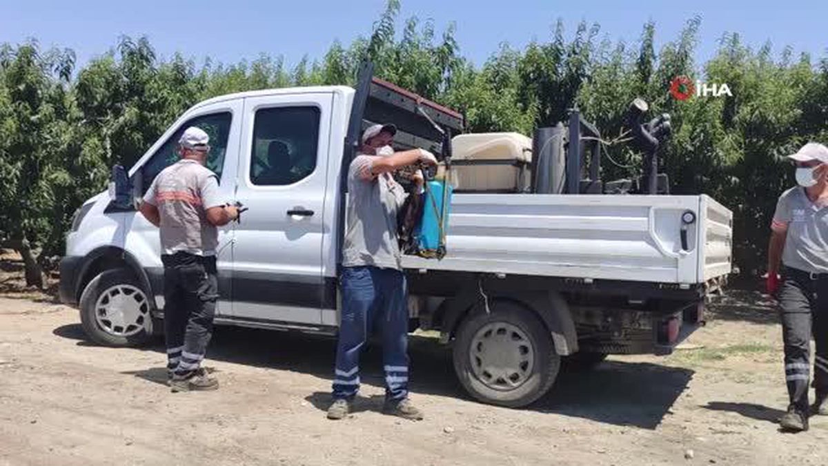 Kuşadası Belediyesi, 'Karasinekle Mücadele Timi' kurdu