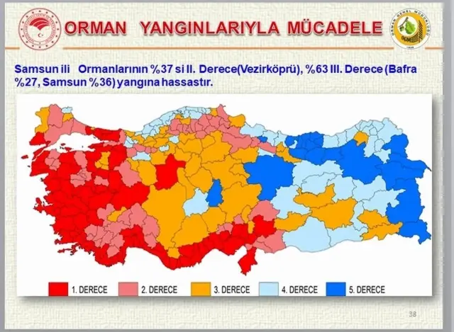 Samsun ormanlarında çıkan 22 yangında 21,28 ha örtü zarar gördü 5 Samsun ormanlarında çıkan 22 yangında 21,28 ha örtü zarar gördü