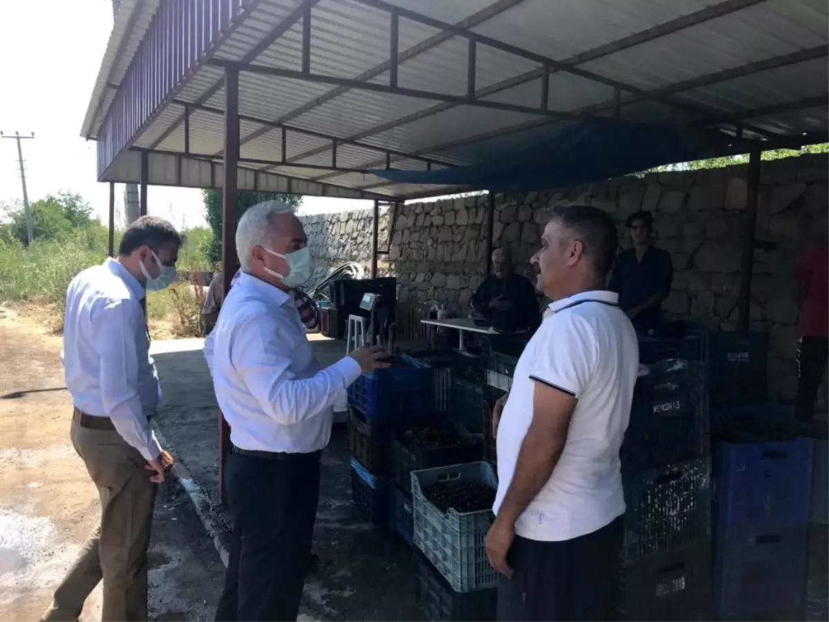 VALİ SEYMENOĞLU KİRAZ ALIM MERKEZİNİ ZİYARET ETTİ