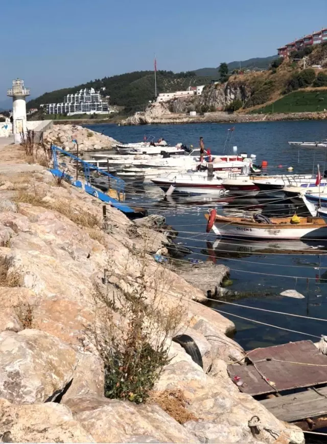 Yat Limanı Güzelyalı'ya yakıştı