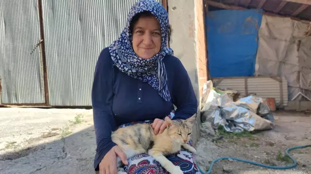 Su kuyusuna düşen yavru kedi kurtarıldı Su kuyusuna düşen yavru kedi kurtarıldı