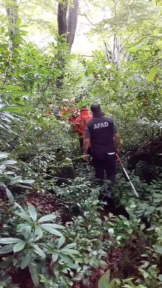 Artvin'in Arhavi ilçesinde kayıp şahıs iki gündür aranıyor