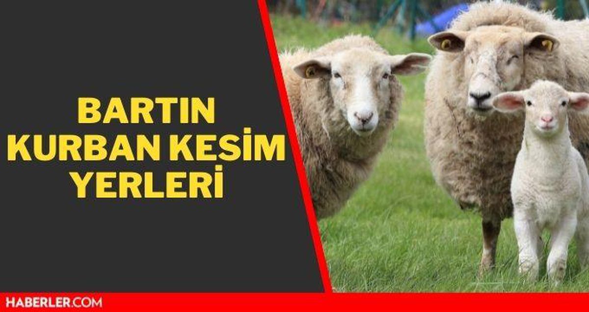 Bartın kurban kesim yerleri! Bartın kurban pazar ve satış yerleri! 2021 Bartın kurbanlık pazar yerleri, satış yerleri ve kurban kesim yerleri nerede?