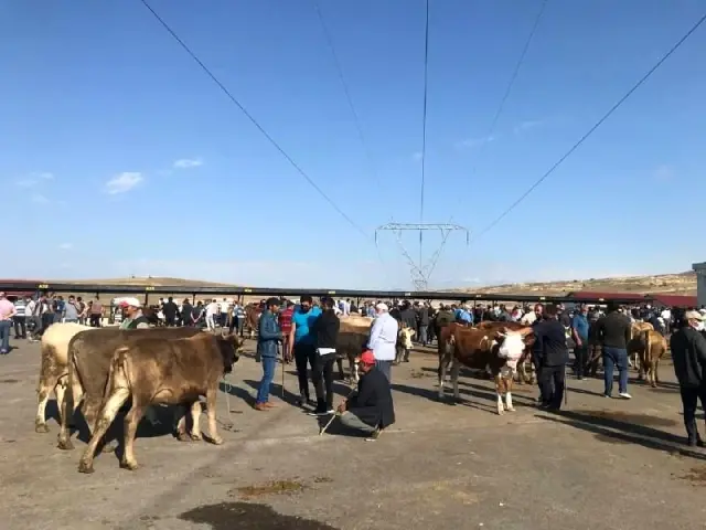 Bayburt'ta kurban pazarında hareketlilik arttı
