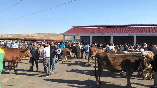 Bayburt'ta kurban pazarında hareketlilik arttı