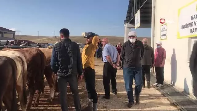 Bayburt'ta kurban pazarında hareketlilik arttı Bayburt'ta kurban pazarında hareketlilik arttı