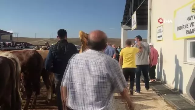 Bayburt'ta kurban pazarında hareketlilik arttı