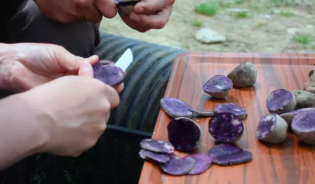 BURSA'DAKİ TARİHİ MESLEK LİSESİ MOR PATATES İHRAÇ EDECEK