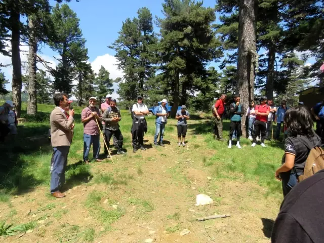 Doğa yürüyüşüyle stres attılar