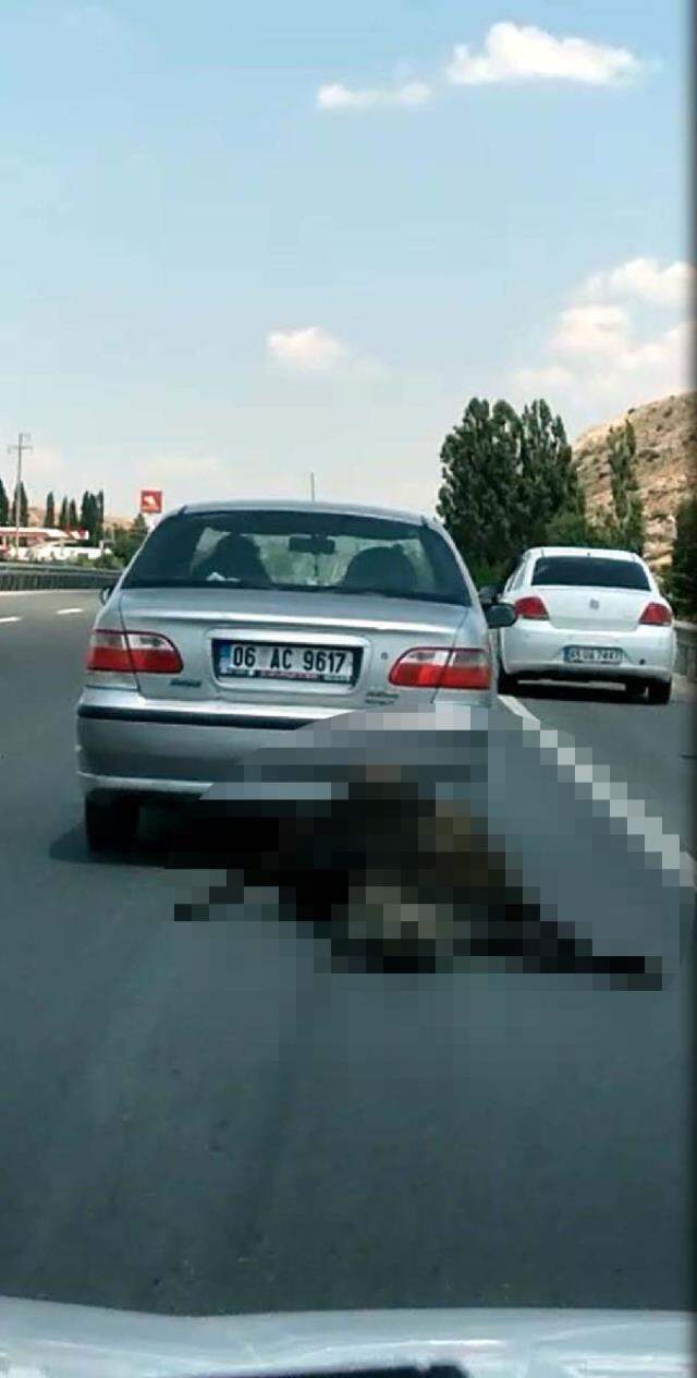 İnsanların içini sızlatan anlar! Ölü ineği arabasıyla sürüklenen şahıs, cezasız kalmadı