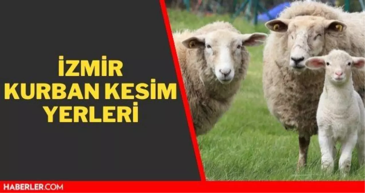 İzmir kurban kesim yerleri! İzmir kurban pazar ve satış yerleri! 2021 İzmir kurbanlık pazar yerleri, satış yerleri ve kurban kesim yerleri nerede?