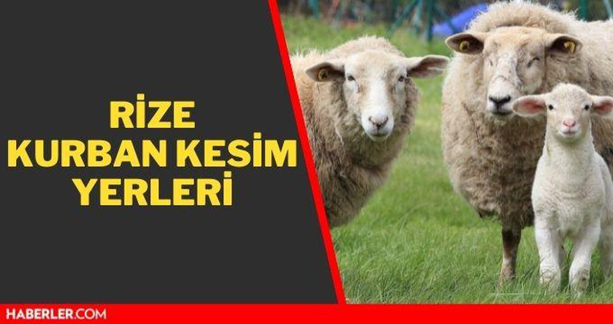 Rize kurban kesim yerleri! Rize kurban pazar ve satış yerleri! 2021 Rize kurbanlık pazar yerleri, satış yerleri ve kurban kesim yerleri nerede?