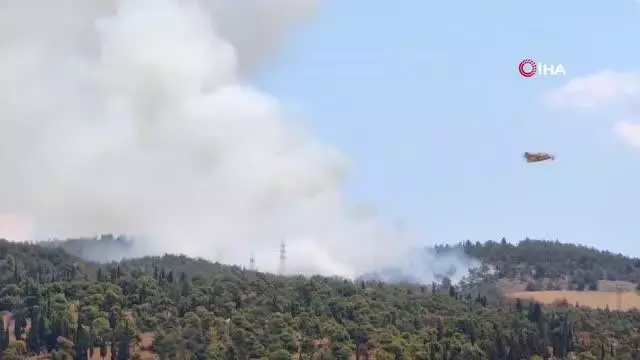 Son dakika! Selanik'te orman yangını: Bir otel tahliye edildi Son dakika! Selanik'te orman yangını: Bir otel tahliye edildi