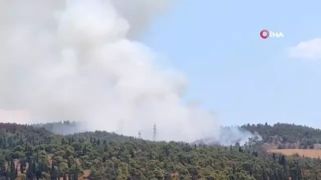 Son dakika! Selanik'te orman yangını: Bir otel tahliye edildi