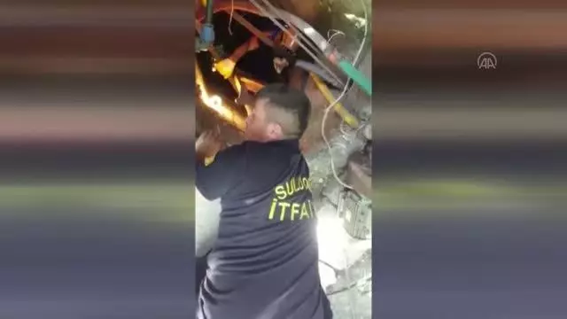 Su kuyusuna düşen yavru kedi kurtarıldı