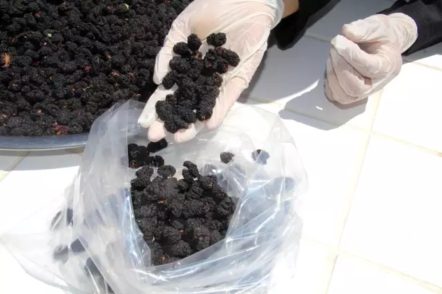 Tescilli dutu una çevirdi, kek ve dondurmada kullandı