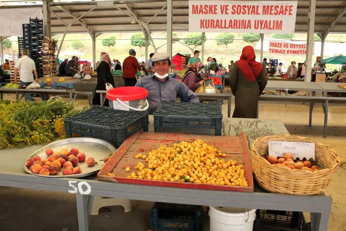Tosya'da yerli ürünler pazara indi