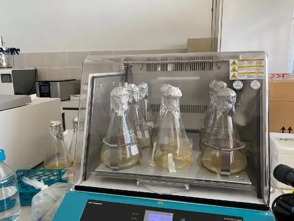 TÜRK BİLİM ADAMLARI, 6 ÜLKEDE 60 YENİ TÜR BAKTERİ KEŞFETTİ