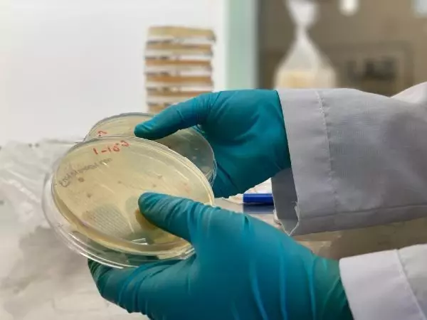 TÜRK BİLİM ADAMLARI, 6 ÜLKEDE 60 YENİ TÜR BAKTERİ KEŞFETTİ