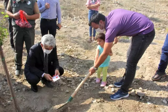3 yaşındaki şehit yeğeni, dayısı için fidan dikti